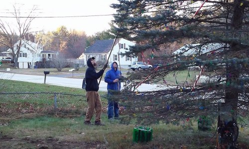 Two people decorate a tree with lights in a residential area, with houses and a road visible in the background.