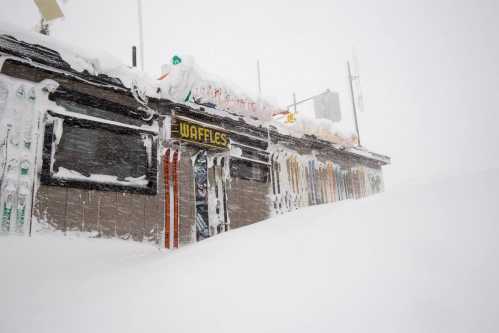 A snow-covered building with a sign reading "Waffles," surrounded by heavy snowfall and winter conditions.