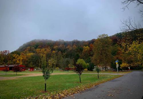A foggy landscape featuring colorful autumn trees on a hillside, with a grassy area and a road in the foreground.