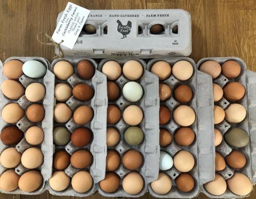 A variety of eggs in cartons, showcasing different colors and sizes, arranged neatly on a wooden surface.