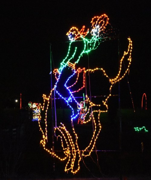 Colorful holiday lights depict a cowboy riding a bucking horse against a dark night sky.