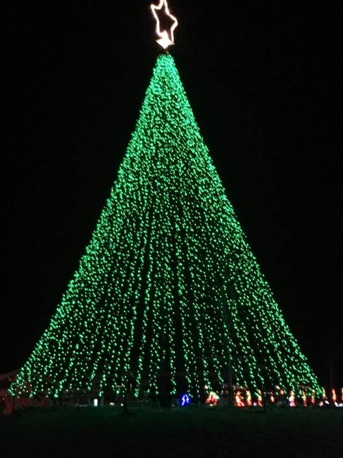 A tall Christmas tree made of green lights, topped with a star, glowing against a dark night sky.