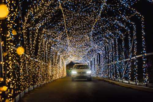 A car drives through a beautifully lit tunnel of blue and yellow holiday lights at night.