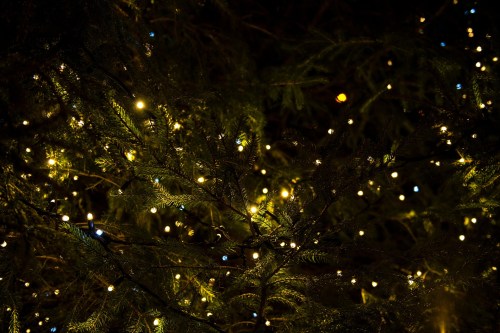 Close-up of a tree adorned with warm white and colorful lights, creating a festive, twinkling atmosphere.