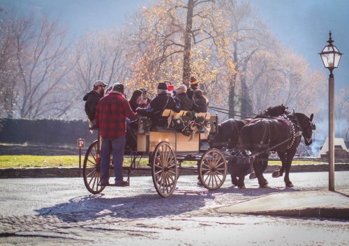A horse-drawn carriage filled with people rides along a scenic path, surrounded by trees and a lamppost.
