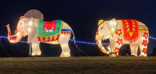 Two illuminated elephant lanterns in vibrant colors, set against a dark night sky, with decorative patterns and lights.