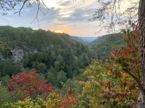 A scenic view of a lush green valley at sunset, with colorful foliage and rocky cliffs in the background.