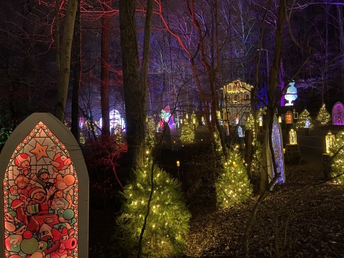 A festive display of colorful lights and illuminated decorations among trees in a dark, wintry landscape.