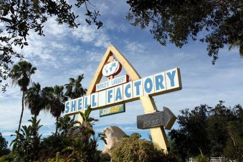 Sign for the World's Largest Shell Factory, featuring palm trees and a clear blue sky in the background.