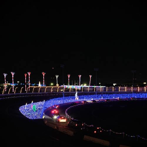A festive display of colorful lights illuminating a circular area, with palm trees and decorations in the background.