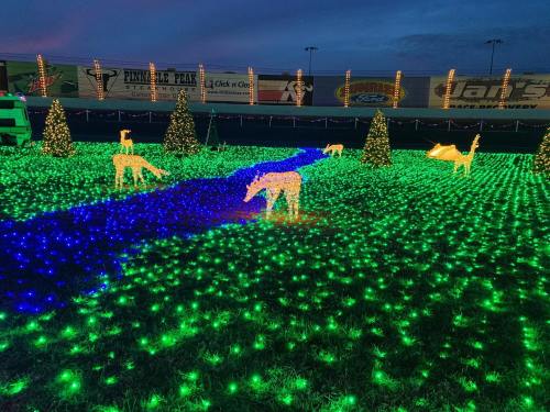 A festive display of colorful lights featuring deer, trees, and a blue river in a grassy area.