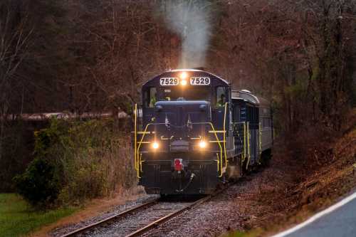 A train with a blue and yellow locomotive approaches on a track surrounded by trees, emitting steam.