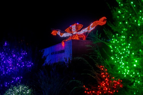 A large illuminated crab sculpture atop a building, surrounded by colorful holiday lights on trees.