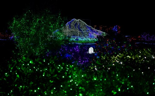 A colorful display of holiday lights illuminates a landscape at night, with vibrant greens and blues creating a festive atmosphere.