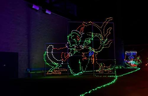 Colorful holiday lights outline a whimsical elephant figure against a dark background.