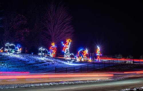 Colorful holiday light display featuring illuminated figures and animals on a snowy landscape at night.