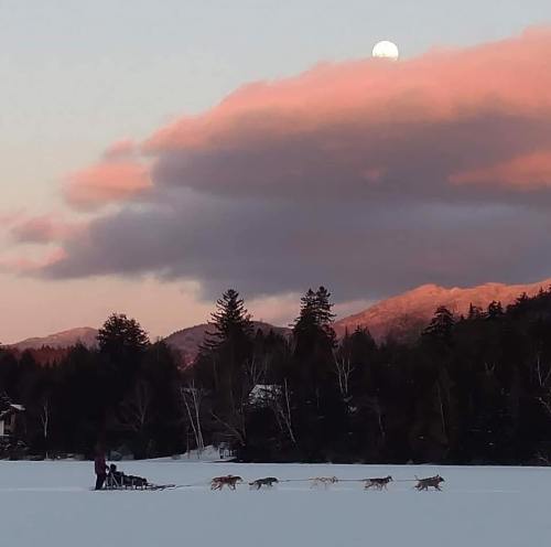 A person sledding with dogs on a snowy landscape, with mountains and a full moon in the background.