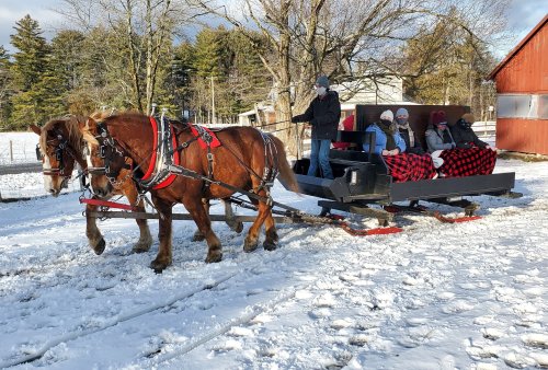 A horse-drawn sleigh carries passengers wrapped in blankets through a snowy landscape near a barn.