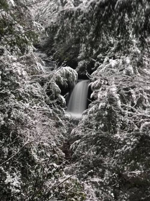 A serene waterfall cascades through a snowy forest, surrounded by lush greenery and frosted branches.
