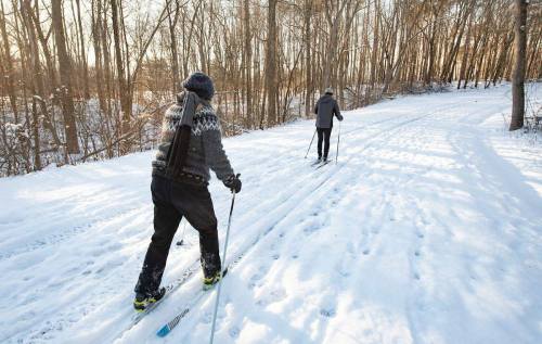 Two people cross-country skiing on a snowy trail surrounded by trees in a winter landscape.