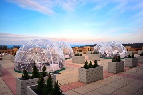 Clear domes on a rooftop terrace, surrounded by planters, with a scenic view and a colorful sky at sunset.