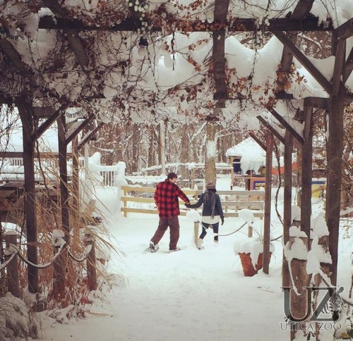 A person and a child walk through a snowy path under a wooden archway, surrounded by winter scenery.