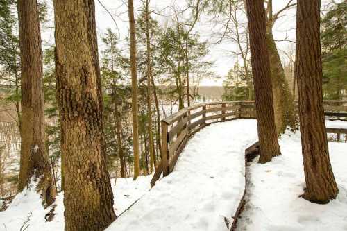 A snowy path winds through a forest, bordered by trees and a wooden railing, leading to a distant view.