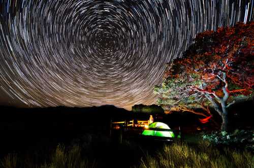 A tent under a starry sky with star trails, surrounded by trees and a hammock, creating a serene camping scene.