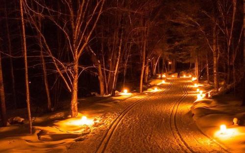 A snow-covered path illuminated by glowing candles, surrounded by trees in a serene, dark winter night.