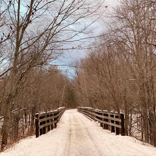 A snowy path lined with bare trees, leading to a wooden bridge in a tranquil winter landscape.