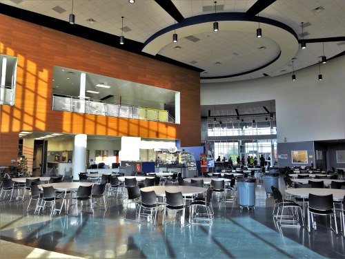 Bright, modern cafeteria with round tables, large windows, and a spacious layout featuring wooden accents.