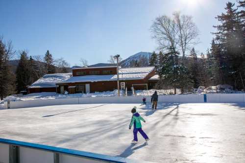 A sunny outdoor ice rink with two children skating, surrounded by snow and trees, with a building in the background.