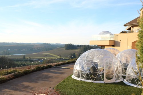 Clear geodesic domes on a grassy area, overlooking rolling hills and vineyards under a blue sky.