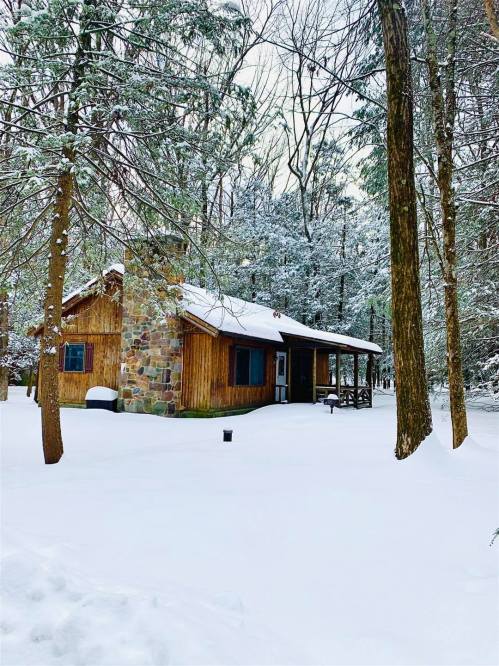 A cozy wooden cabin surrounded by snow-covered trees in a winter landscape.