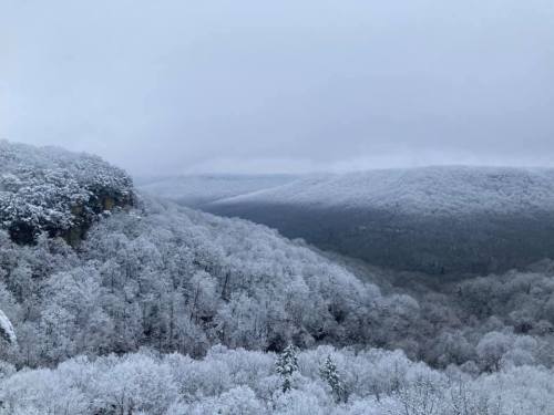 A snowy landscape with frosted trees and misty mountains in the background under a cloudy sky.