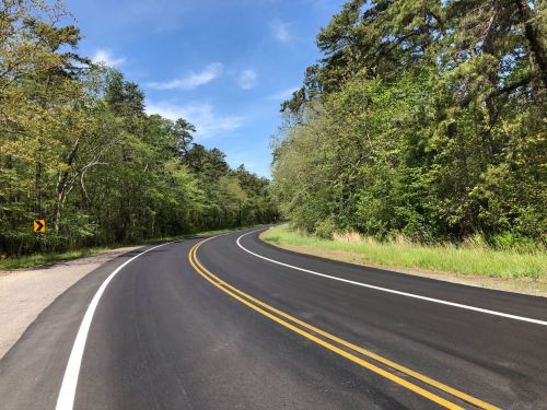 A winding road surrounded by lush green trees under a clear blue sky.