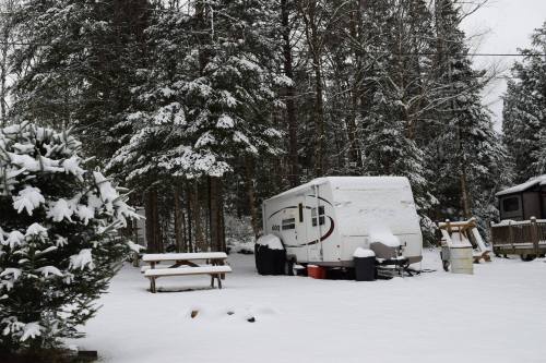 A snowy scene featuring a camper surrounded by tall trees and a picnic table in a winter landscape.
