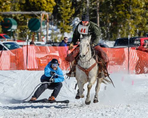A person on a horse pulls a skier through snow, with orange fencing and trees in the background.