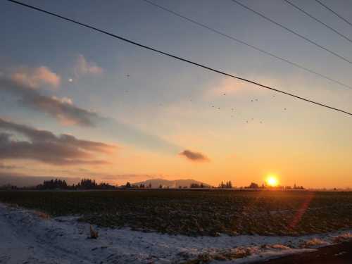 A serene sunset over a snowy field, with soft clouds and silhouettes of distant mountains. Birds fly in the sky.