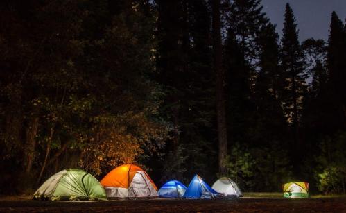 A row of colorful tents lit up at night, surrounded by tall trees in a serene camping setting.