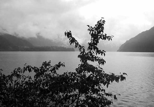 A black and white landscape featuring a calm lake surrounded by mountains and a silhouetted tree in the foreground.