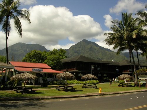 A scenic view of a small town with palm trees, thatched huts, and mountains under a partly cloudy sky.