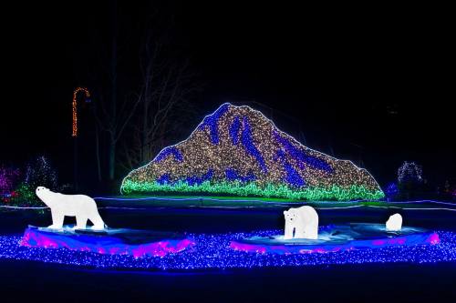 Colorful holiday lights depict polar bears and a mountain against a dark night sky.