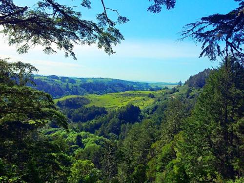 A scenic view of lush green hills and trees under a clear blue sky, showcasing a peaceful natural landscape.