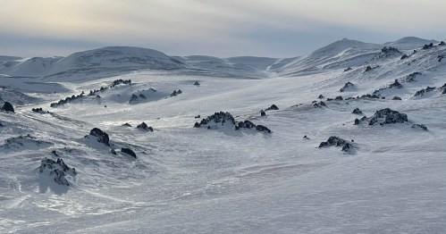 A vast, snowy landscape with rocky outcrops and gentle hills under a soft, cloudy sky.