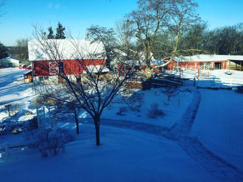 A snowy landscape featuring red barns, trees, and a winding path in a rural setting.