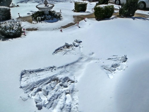 A snowy landscape with a fountain and bushes, showing footprints and disturbed snow on the ground.