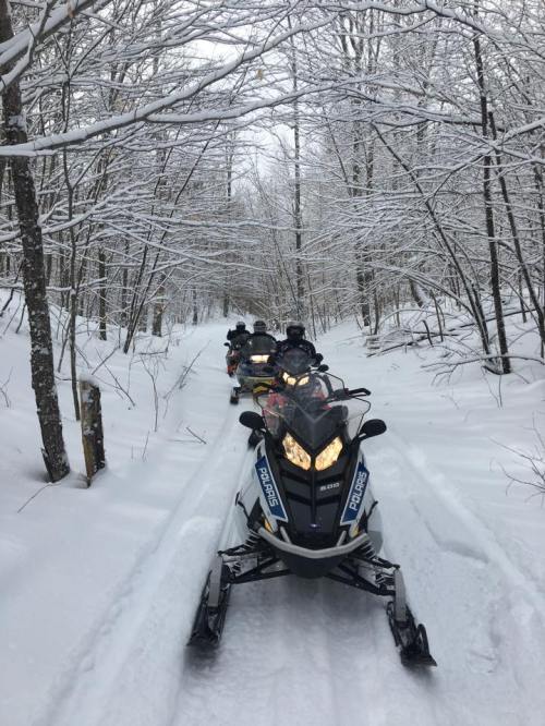 Snowmobiles lined up on a snowy trail surrounded by trees, creating a winter wonderland scene.