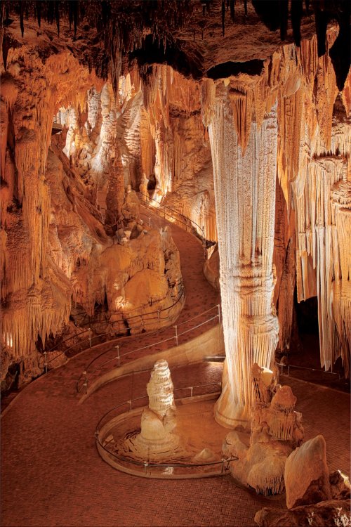 A winding path through a stunning cave filled with stalactites and stalagmites, illuminated by warm lighting.