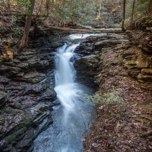 A serene waterfall cascades over rocky cliffs, surrounded by lush greenery and trees in a tranquil forest setting.